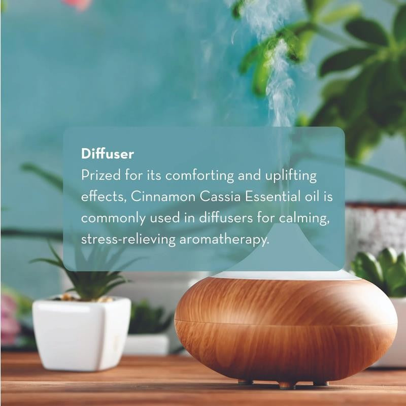 Cinnamon Cassia Essential Oil for Skin and Hair, Therapeutic Grade Oil 10Ml By
