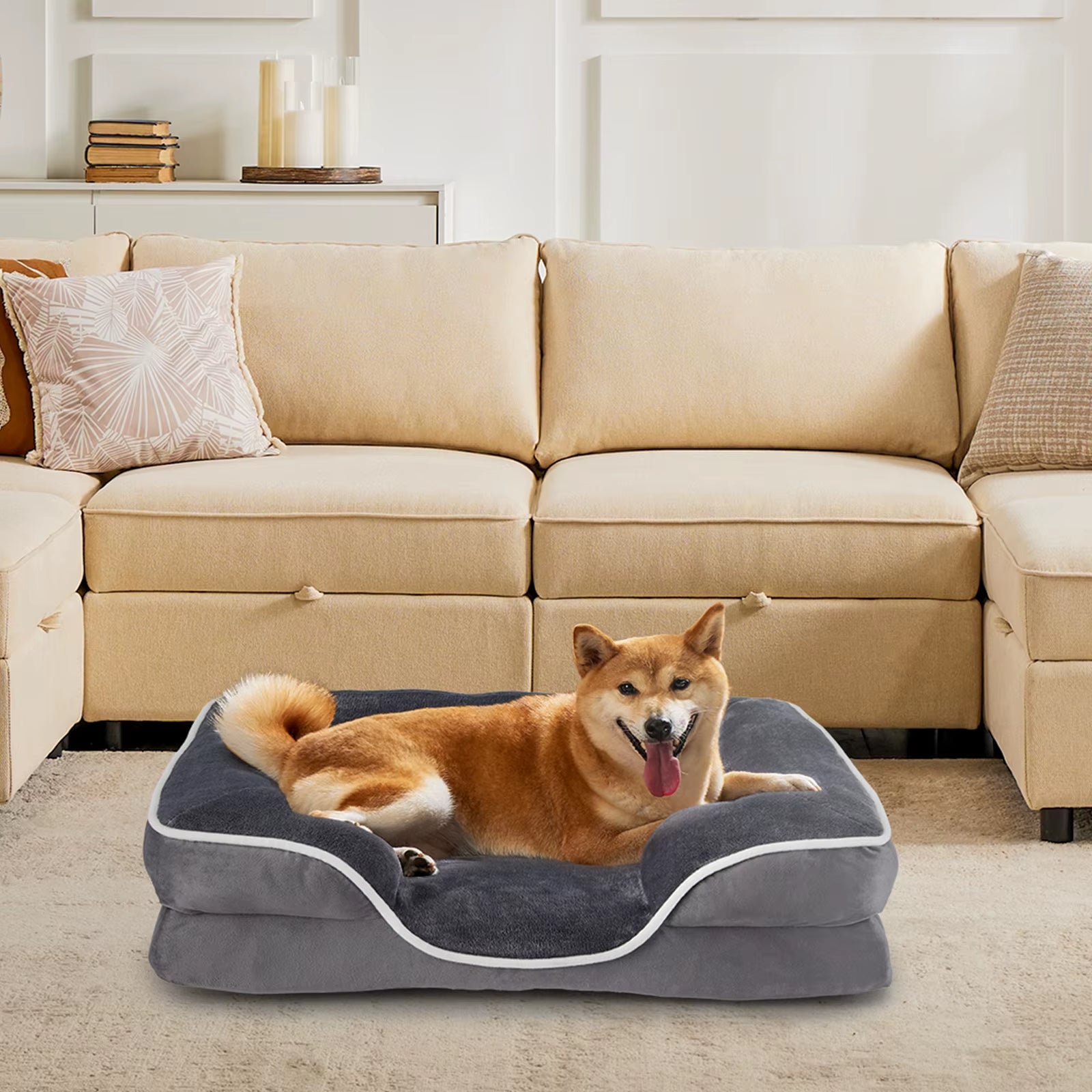 Orthopedic Dog Bed Memory Foam Pet Bed for Small Dogs & Cats with Washable Removable Cover Non-Slip Base Waterproof Liner
