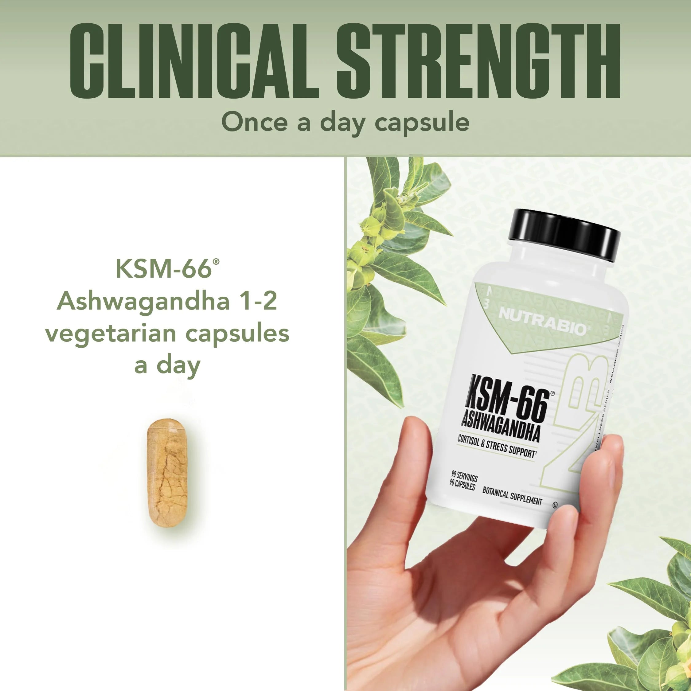 Ashwagandha KSM-66 Herbal Supplement for Better Overall Well-Being- Ashwagandha Supplement- 600Mg - 60 Vegetable Capsules