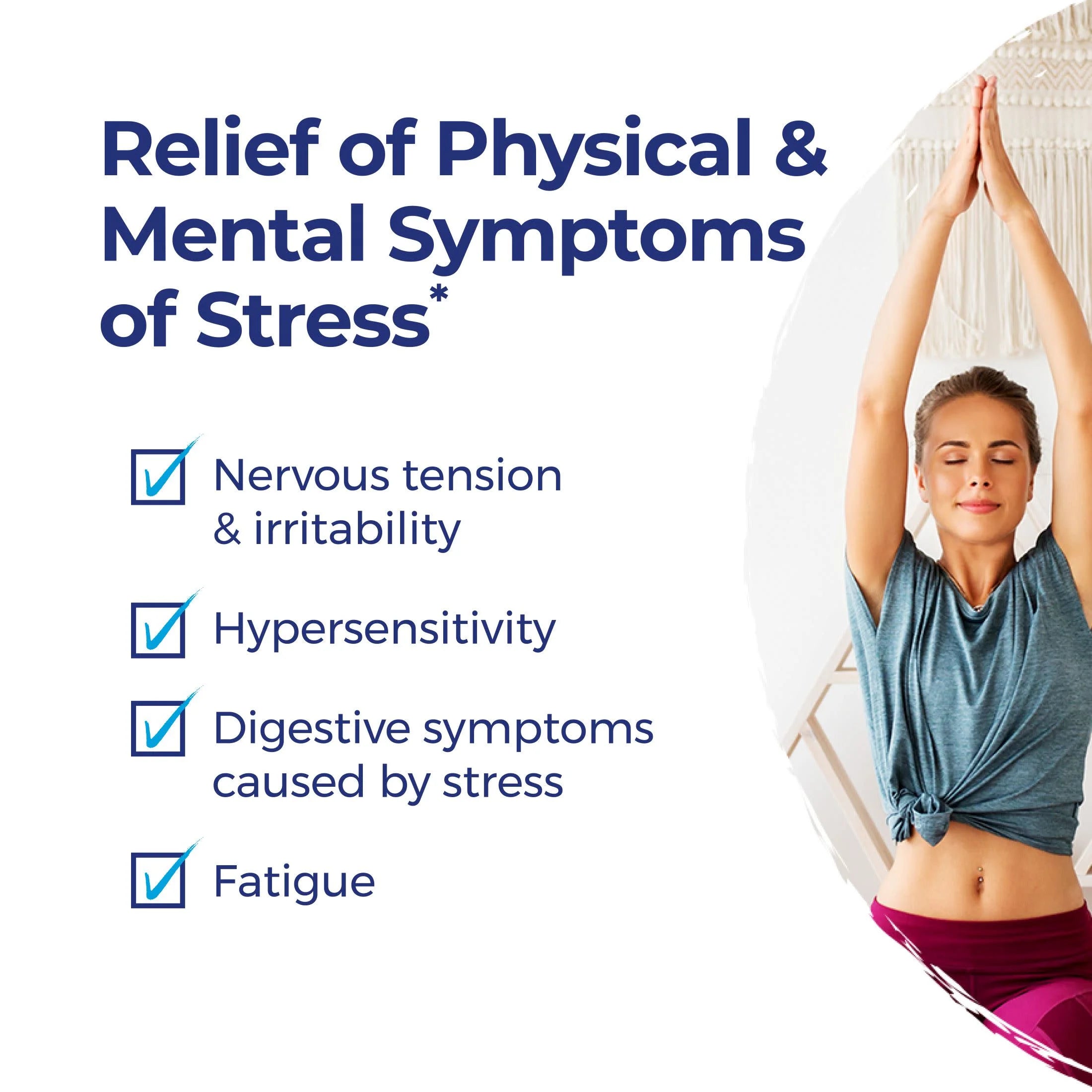 Stresscalm on the Go, Homeopathic Medicine for Stress Relief, Reduces Nervous Tension, Calms Mind & Body, 2 X 80 Pellets