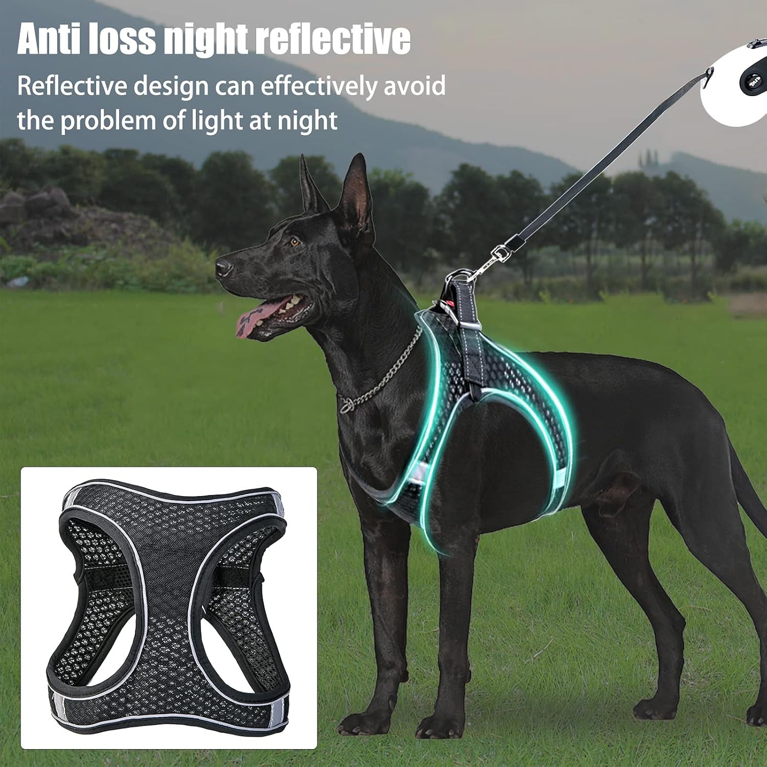 No Pull Dog Harness Handle Puppy Harness and Leash Set Dog Harness for Small Medium Large Dogs No Pull 5M/16.4Ft Leash No-Choke Dog Vest S/M/L/XL