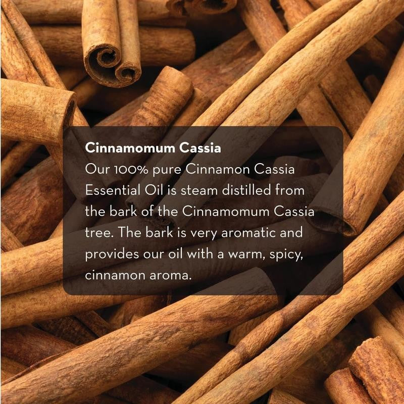 Cinnamon Cassia Essential Oil for Skin and Hair, Therapeutic Grade Oil 10Ml By
