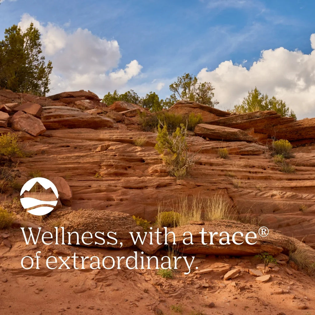 Minerals Magnesium Glycinate - Gentle Magnesium Glycinate Supplement for Healthy Sleep & Relaxation Support - Healthy Mind & Energy - Vegan - Gluten-Free - 180 Count (180 Servings)