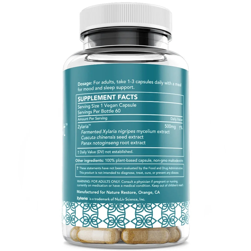 Sleepboost™, Sleep Support and Anti-Anxiety Supplement, Glutamic Acid and GABA Activation, Xylaria Nigripes, 60 Capsules