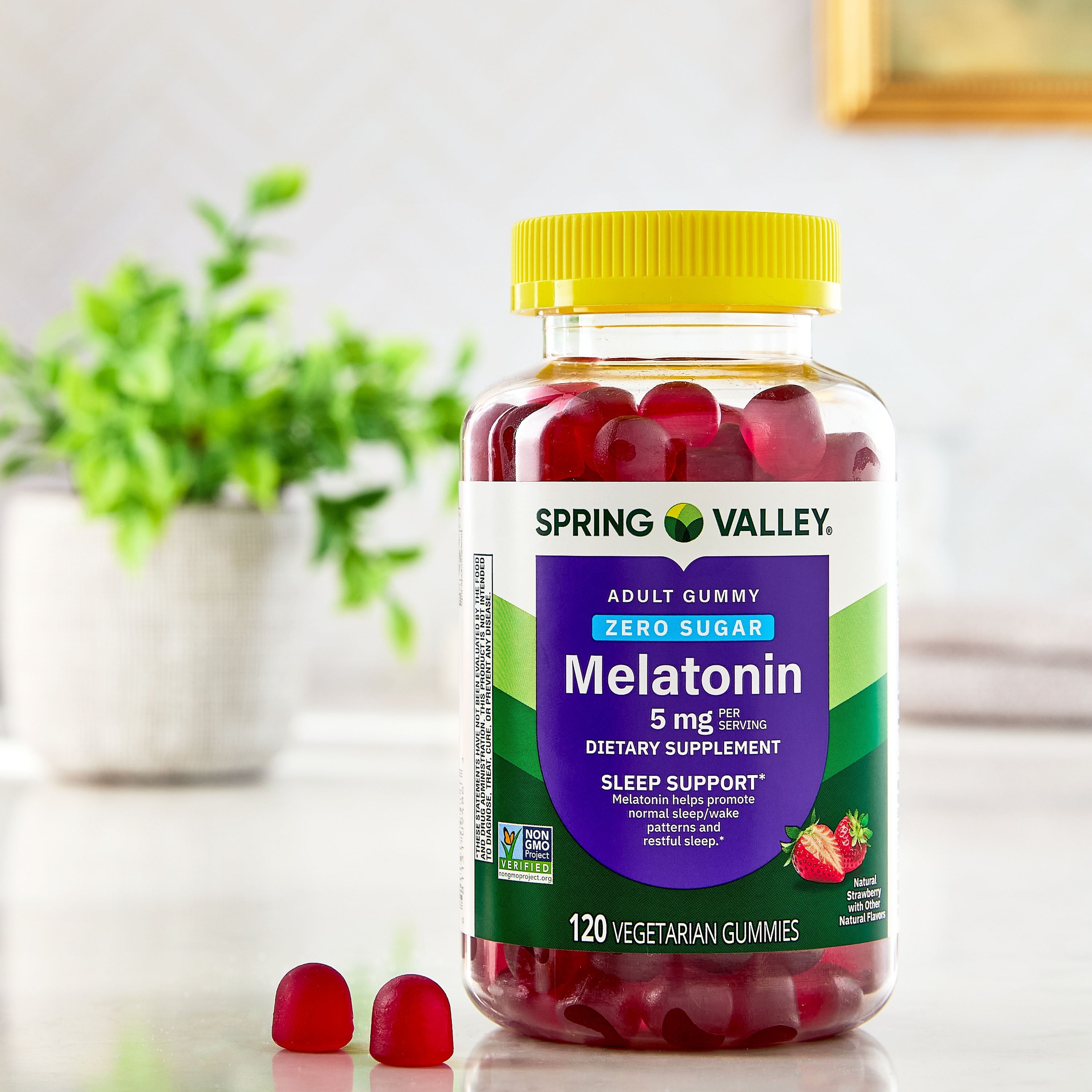 (3 Pack)  Zero Sugar Melatonin Sleep Support Dietary Supplement Gummies, 5 Mg, 120 Count