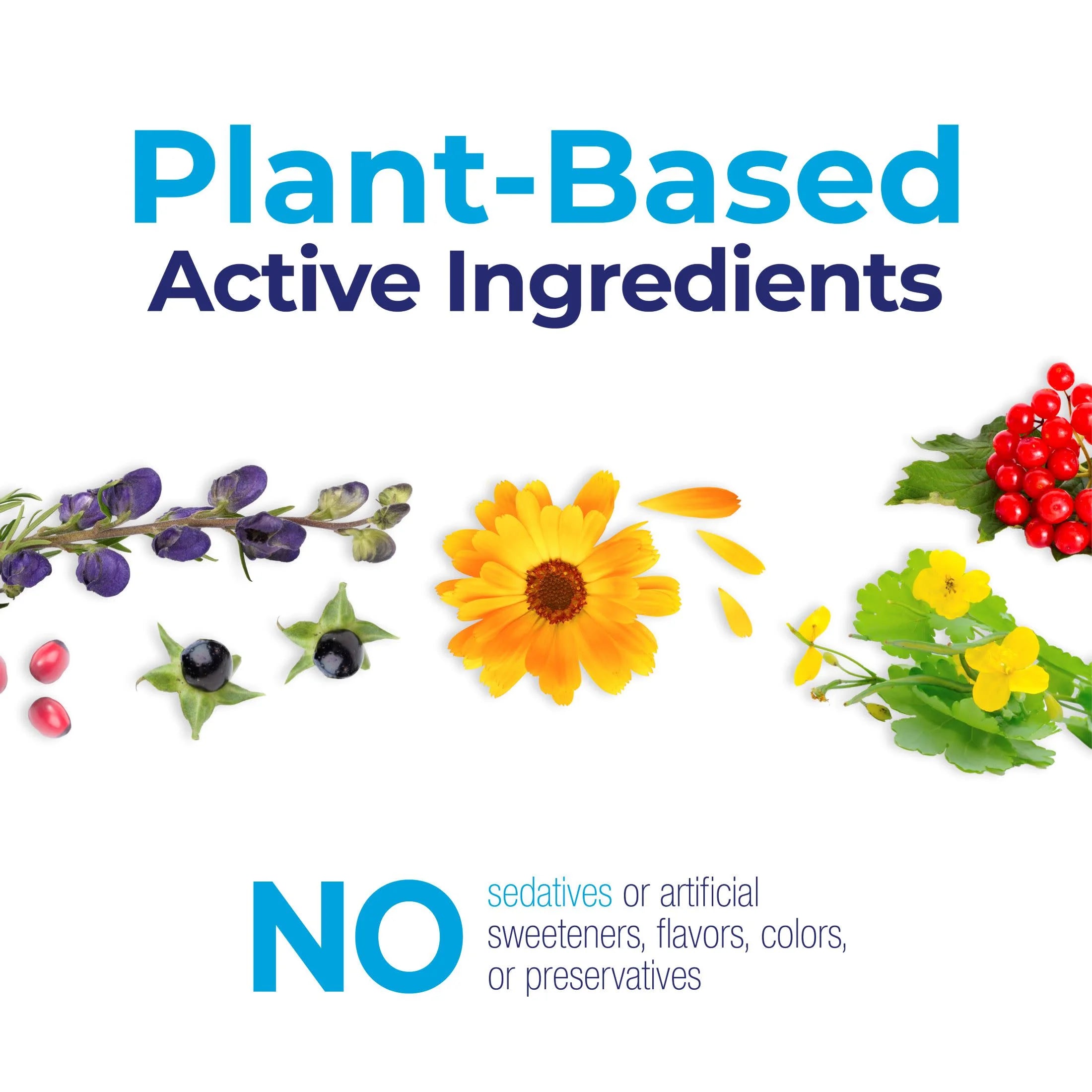 Stresscalm on the Go, Homeopathic Medicine for Stress Relief, Reduces Nervous Tension, Calms Mind & Body, 2 X 80 Pellets