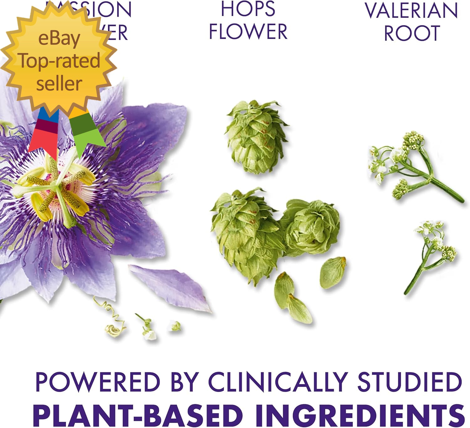 PURE Zzzs Restorative Herbal Sleep Tablets Free of and Hormones