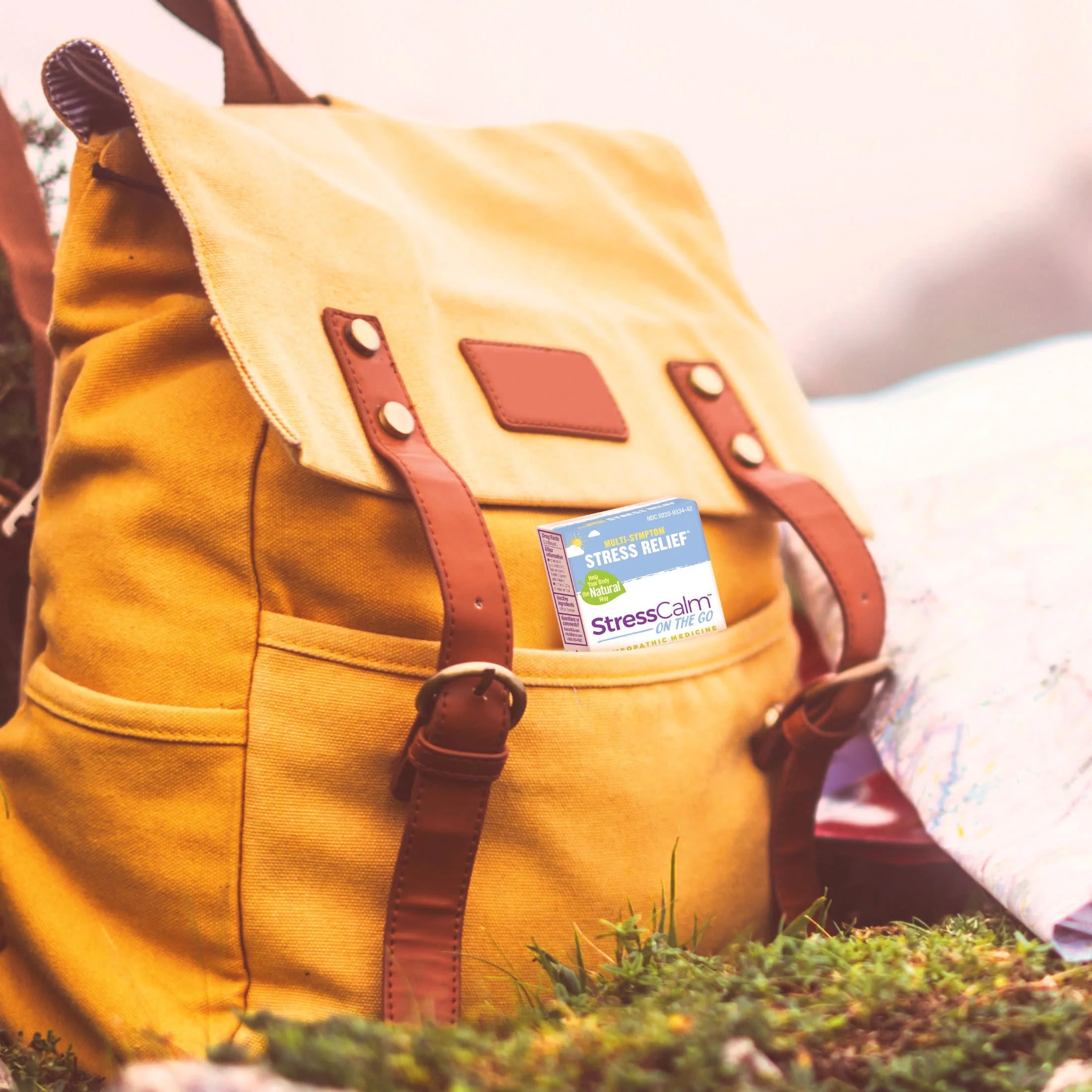 Stresscalm on the Go, Homeopathic Medicine for Stress Relief, Reduces Nervous Tension, Calms Mind & Body, 2 X 80 Pellets