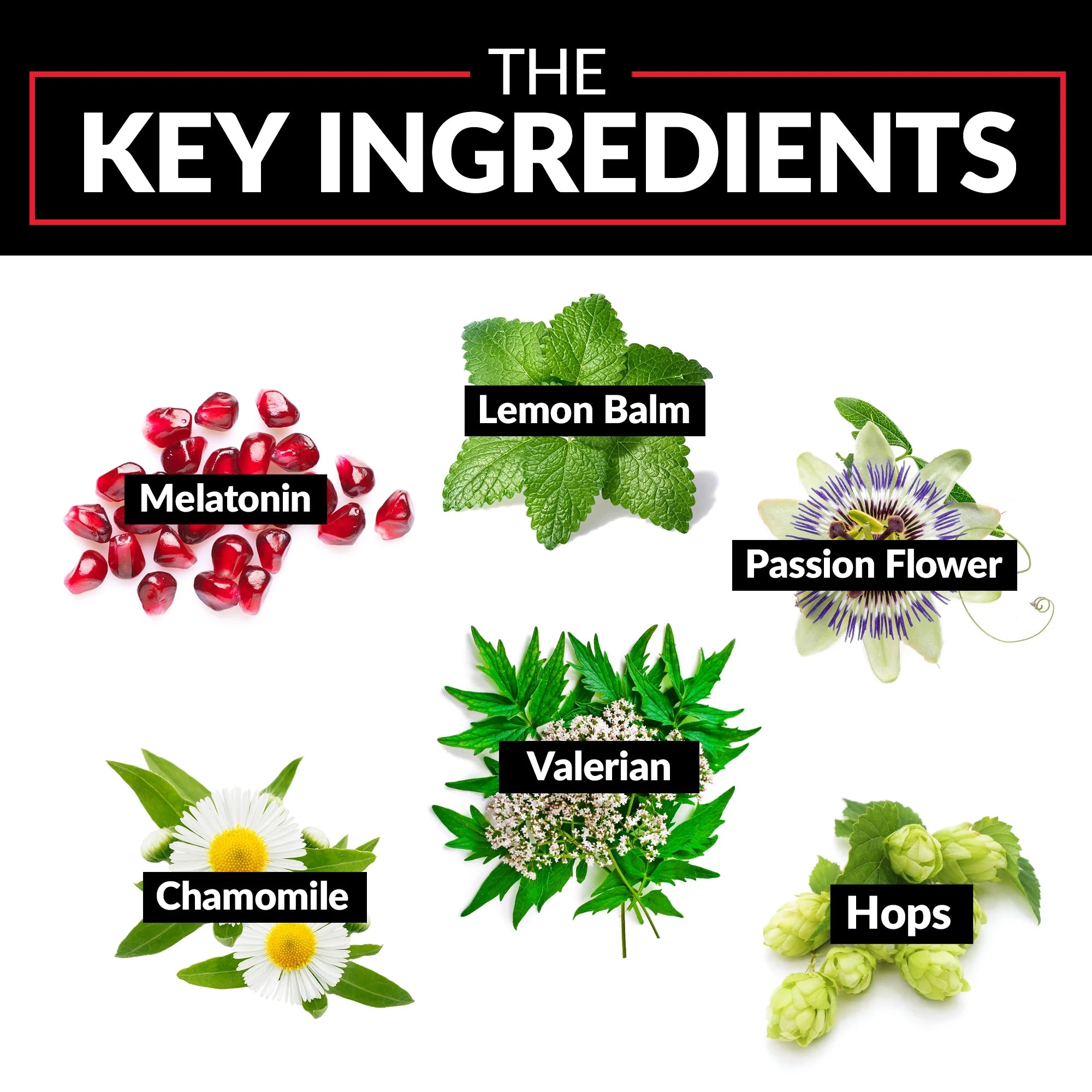 Somnapure Sleep Aid with 3Mg Melatonin, Valerian & L-Theanine for Sleep Support, Drug-Free & Non-Habit-Forming Sleeping Pills, 60 Tablets